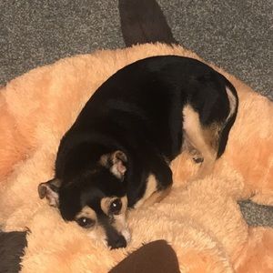 Meet your Posher, Andréa